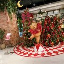 국시앤밥 이미지