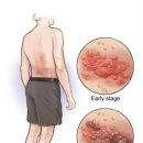 센트럴종로약국 이미지