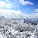 1,000,001번째로 담은 태기산 국민 poin 이미지