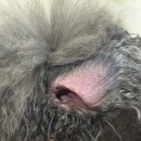 에버펫동물병원 이미지