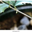 경희호랑한의원 이미지