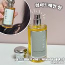 리비드 | 72시간 지속되는 마법! 놀라운 모발 케어 후기 [이스트웨이브 리비드 헤어 퍼퓸 에센스, 화이트베일향]