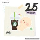 대관령동물병원 | 주간 기록 0302-0308