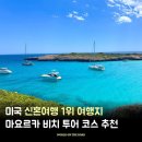 로데카서비스센타 | 마요르카 신혼여행 코스 추천 로맨틱한 마요르카 투어 일정