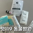 레스펫동물병원 | 목포 펫 119 동물병원 배꼽탈장 수술 후기 [1]