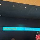 국제W 성인게임랜드 | [공지] 뉴욕 여행 모마미술관 (MoMA) 후기 [현대카드 무료입장, 티켓 비교, 모마스토어]