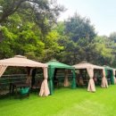 숲길FORESTWAY 네이버블로그