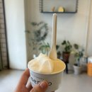 젤라떼리아모멘토