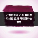 기초근력운동 이미지