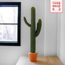 꽃배달 블루밍