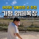 보미목장 이미지