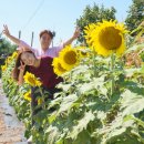 초대1리 이미지