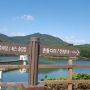 출렁다리 카페 이미지