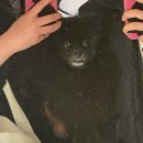 블로비헤어 - 홍성군 내포신도시 | 부산 전포 신상 셀프사진관 : 우드로우 사진관 부산점