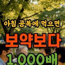 아침 공복에 먹으면 보약보다 1000배 더 좋은 음식 7가지 이미지