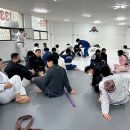 팀루츠 키즈 주짓수&레슬링 이미지