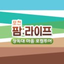 팜 라이프 이미지