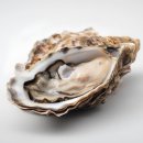 푸드스토리 이미지