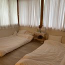 또,봄이네 이미지