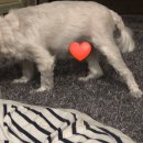 비제이메디칼 이미지