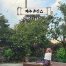 서귀포농업협동조합서부지점 | 제주 서귀포 촌캉스 감성 독채 숙소 추천 호그니하우스