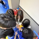 백곰유도클럽 이미지