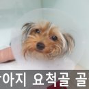 우신정형외과 이미지