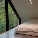 메리도그하우스 이미지