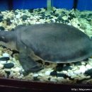 광원수족관 이미지