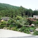 월성 산아래 글램핑 이미지