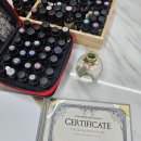 댕댕사우나 이미지