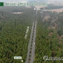 수림목장 이미지