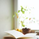 포도나무 작은도서관 이미지