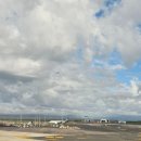 영필농장 | 떠나요 뉴질랜드 여행이야기 (9) Day9 오클랜드 도메인 한국으로 돌아오기 (마지막)