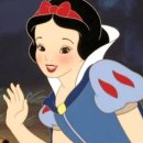 현지실사세상