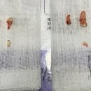 관저종합동물병원 이미지