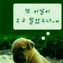 복