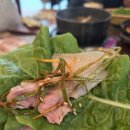 세화 정원 | 제주 세화 맛집 종달리수다뜰 성산일출봉 갈치조림 한정식 후기