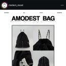 모데스트 이미지