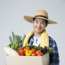 싱싱농산물식품 네이버블로그