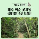 화순곶자왈 | 8월에 찾은 제주 화순 곶자왈 생태탐방 숲길