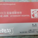 디아크동물병원 이미지