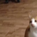 지용농장 이미지