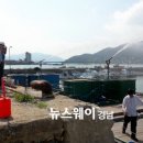신도천 이미지