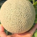 아던트스튜디오