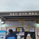 붕카센타 | 상암 하늘공원 억새축제 갔다 온 후기