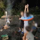 돌고래풀하우스 이미지