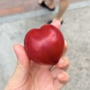 대중식당 - 정읍시 연지1길 46-4 | [안양] 발 담그고 시원한 안양 계곡 백숙집, ‘폭포수 식당’ 후기(대중교통 추천, 반려동물 존 있음)