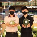 신세계 이미지