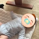 인주민약국 | [일상]2026년 1월 한 달 일기